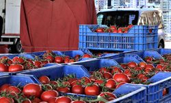 Antalya’da domates miktarı yıllık endekste yüzde 4,32 arttı