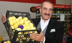 Türkiye, narenciye ürünleriyle dünyaya şifa dağıtıyor