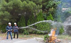 İzmir’in ormanlarına gönüllü kalkanı