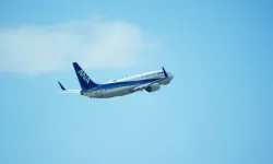 Japonya'da kokpit penceresi açılan askeri uçak acil iniş yaptı