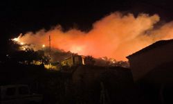 Bayındır'da zeytinlik yangını söndürüldü! 1 orman işçisi dönüş yolunda kazada öldü