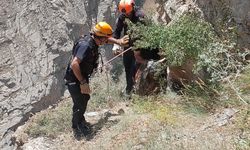 AFAD ekipleri kayalıklarda mahsur kalan kurbanlık keçiyi kurtardı