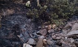 Alaşehir'de orman yangını meyve bahçesini küle çevirdi