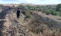 Ankara Elmadağ'da tarım arazisinde çıkan yangın kontrol altına alındı