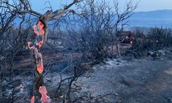 Ayvacık'taki orman yangını kontrol altına alındı