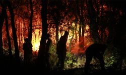 Bakanlık'tan Kuşadası yangınıyla ilgili açıklama: Müdahale cansiperane şekilde sürüyor