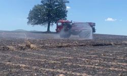 Balıkesir, Gönen'de buğday tarlasında yangın: 35 ton buğday kül oldu