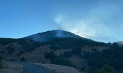 Bingöl'deki orman yangını hızlı müdahale ile kontrol altına alındı