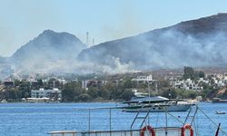 Bodrum'daki yangınlar kontrol altına alındı: Onlarca hektar otluk alan küle döndü!