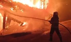 Bozüyük'te Saraycık Köyü'nde korulukta yangın çıktı