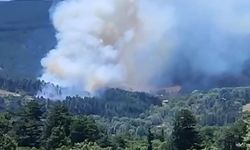 Bursa Keles'te çataklı mevkiindeki orman yangınında şiddetli rüzgar etkili