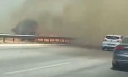 Çeşme'de korkutan yangın: Otoyol trafiğe kapatıldı