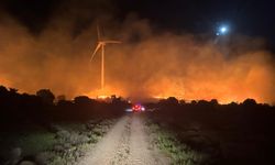 Çeşme'de yangın korkusu: Ekipler alevleri kontrol altına alındı