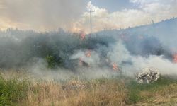 Denizli'de 1 günde 10 orman yangını meydana geldi
