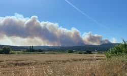 Eceabat'ta orman yangını nedeniyle Anafartalar Köyü boşaltıldı, müdahale devam ediyor