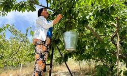 Bornovalı üreticinin yüzü gülüyor! Belediyeden bir destek daha