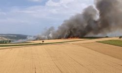 İnegöl'de ekili tarlalarda yangın: 80 dönüm buğday alanı zarar gördü