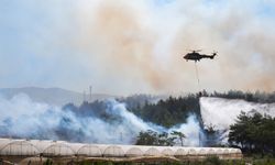 Menderes'te orman yangını: Havadan ve karadan müdahale devam ediyor, bazı evler tahliye edildi