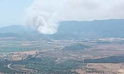 İzmir Menderes'te ormanlık alanda yangın kontrol altına alınmaya çalışılıyor