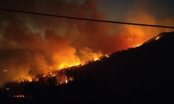 İzmir'den Aydın Kuşadası'na yayılan orman yangınında mücadele sürüyor