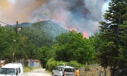 Milas'ta çıkan orman yangını rüzgarın etkisiyle büyüyor