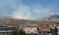 Milas'ta makilik alanda başlayan yangın evleri tehdit diyor