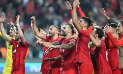 Milli Takım'ın Karadağ ve İzlanda maçlarının yeri belli oldu