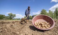 Üreticiler patates ekim mesaisinde