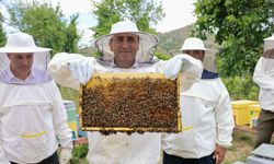 ‘Varroa' ile topyekûn mücadele