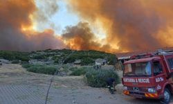 İzmir ve Manisa’da olaylar rekor seviyede: Bir ayda tam 165 yangın…