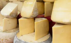 Eritme peynirler yöresel isimlerle satılamayacak!