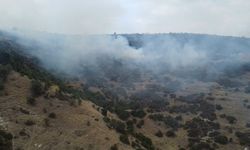 Afyonkarahisar’da dağlık alanda yangın: İtfaiye ormana sıçramaması için mücadele ediyor