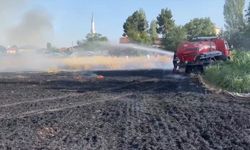 Amasya Gümüşhacıköy'de buğday ekili arazide yangın çıktı