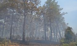 Antalya Aksu'da çıkan orman yangınında çiftçilerden büyük destek