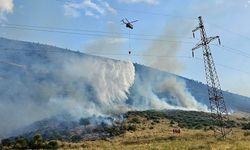 Arnavutluk'un güneyinde orman yangınları