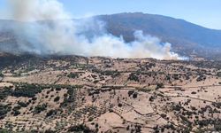 Aydın Çine'de orman yangını: Havadan ve karadan müdahale devam ediyor