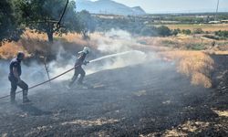 Manisa'daki yangında yaklaşık 5 dönüm buğday tarlası hasar gördü
