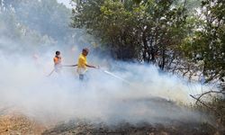 Balıkesir Kepsut'ta çıkan arazi yangını ormana sıçradı: Ekipler müdahale ediyor