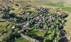 Bitlis'in toprak bütünlüğü arttı, Muş'unki azaldı