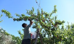 Bornova Belediyesi, sağlık sorunlarıyla mücadele eden çiftçiye yardım eli uzattı