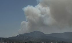 Bornova'da orman yangını: Ekipler müdahale ediyor
