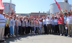Bornova'daki zeytinyağı fabrikası işçileri grevde 31. gününe girdi