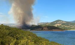 Çanakkale Bayramiç'te orman yangını: Ekipler havadan ve karadan müdahale ediyor