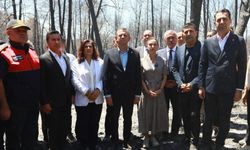CHP Genel Başkanı Özgür Özel, Efes Selçuk'taki orman yangını alanında incelemelerde bulundu