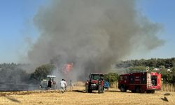 İzmir'de tarım arazisinde çıkan yangın söndürüldü