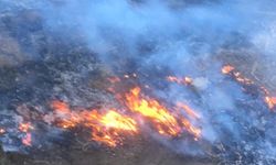 Gaziantep'te meşelik alanda yangın: 2 dönüm ormanlık alan zarar gördü