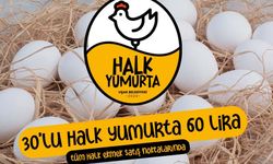 Halk Yumurta görücüye çıktı