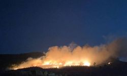 Ayvacık ilçesinde çıkan orman yangınına müdahale ediliyor