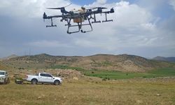 İlk defa dron ile çekirge ilaçlama yapıldı