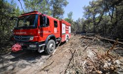 İzmir'in yangınla mücadelesi: İtfaiye ekipleri 7/24 nöbette